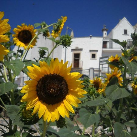 Cuore Dei Venti Martina Franca Eksteriør billede