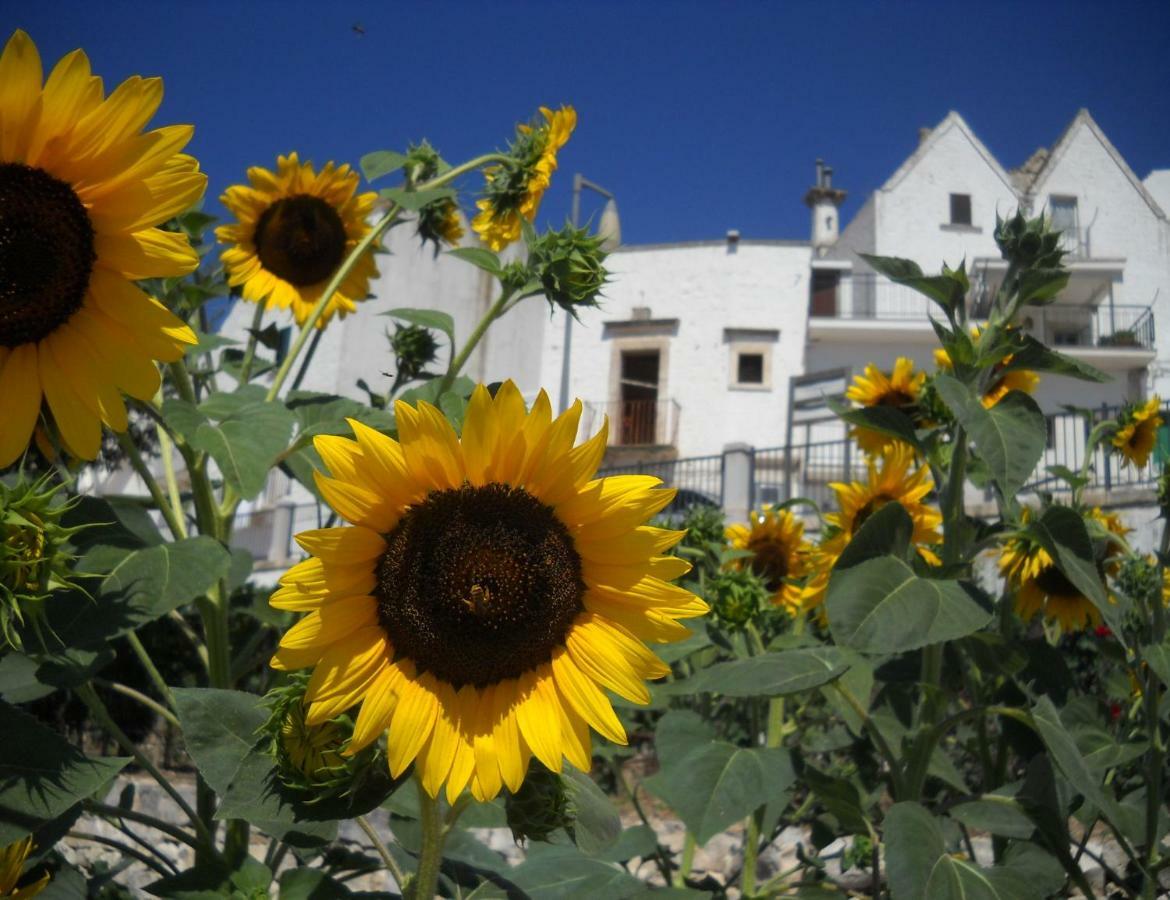 Cuore Dei Venti Martina Franca Eksteriør billede